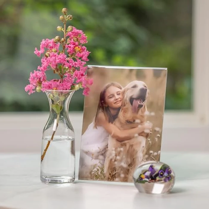 Snap 5x7 Clear Acrylic Self Standing Frame, Set of 12 by Snap - Image 2