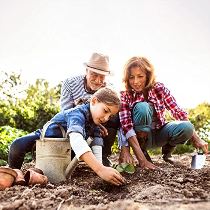 Garden Edging - 10-Piece Outdoor Decorative Flower Bed Border Set for Landscaping - 8-Foot Interlocking Stone Trim with Stakes by Pure Garden (Putty) by Pure Garden - Image 7