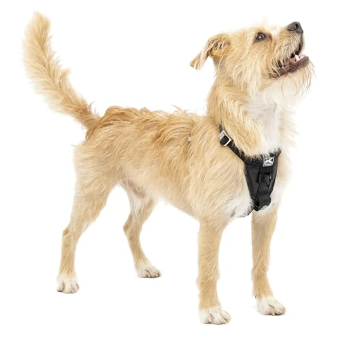 Kurgo Enhanced Strength Tru-Fit Smart Dog Harness, Black, Small - Crash Tested Car Safety Harness for Dogs, No Pull Dog Harness, Includes Pet Safety Seat Belt Tether by Kurgo - Used - Like New condition - CA$31.22
