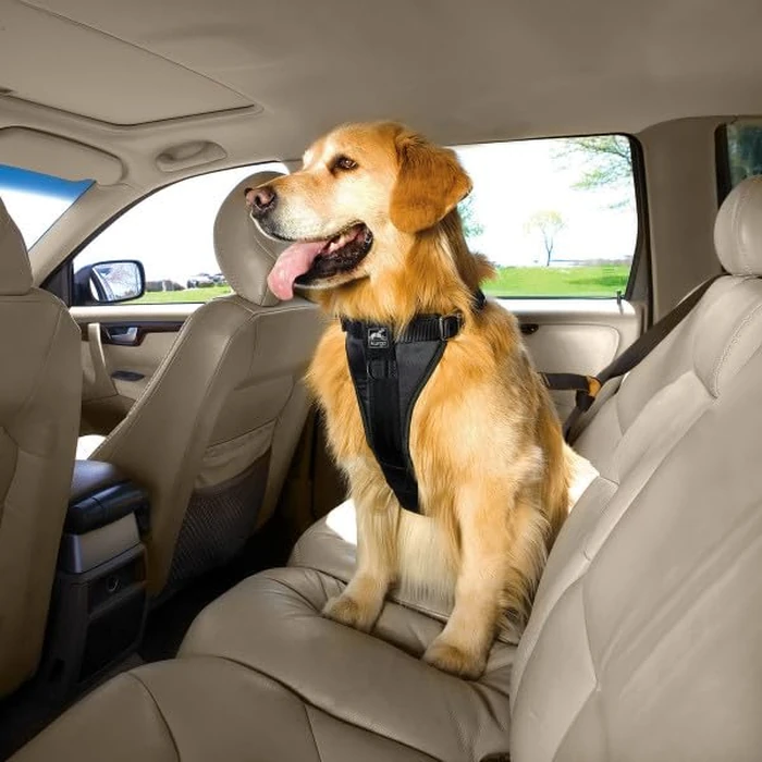Kurgo Enhanced Strength Tru-Fit Smart Dog Harness, Black, Small - Crash Tested Car Safety Harness for Dogs, No Pull Dog Harness, Includes Pet Safety Seat Belt Tether by Kurgo - Image 2