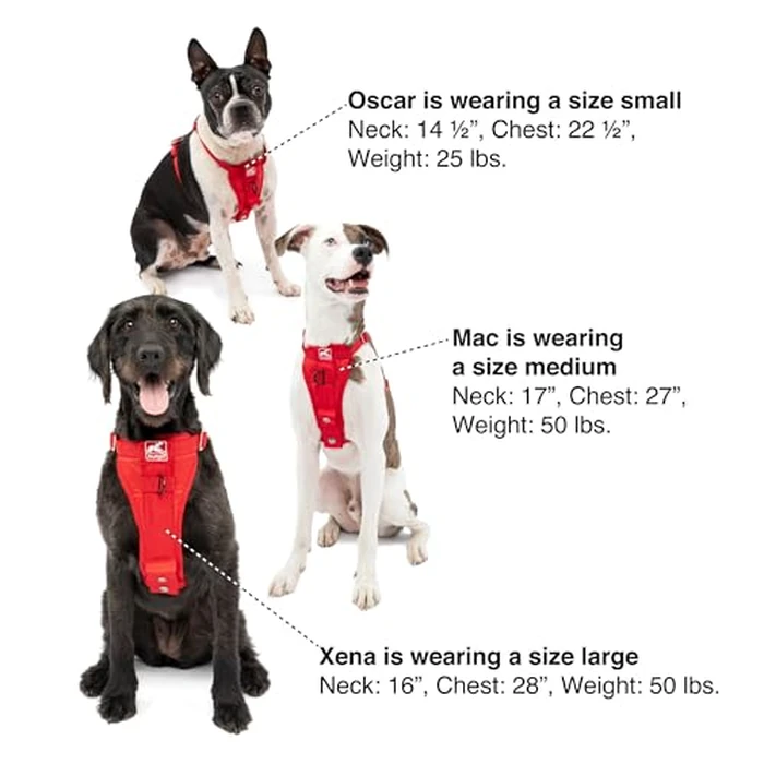 Kurgo Enhanced Strength Tru-Fit Smart Dog Harness, Black, Small - Crash Tested Car Safety Harness for Dogs, No Pull Dog Harness, Includes Pet Safety Seat Belt Tether by Kurgo - Image 7
