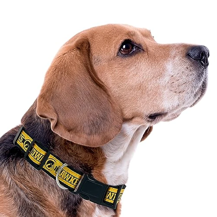 Pets First Collegiate PET Collar New Version Iowa Hawkeyes Dog Collar, Size Small. Best Sports Team Color for Dogs & Cats. A Shiny & Colorful Dog & Cat Collar Licensed by The NCAA by Pets First - Image 4