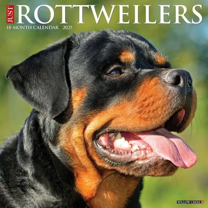 Just Rottweilers 2025 12" x 12" Wall Calendar by WILLOW CREEK - Image 1