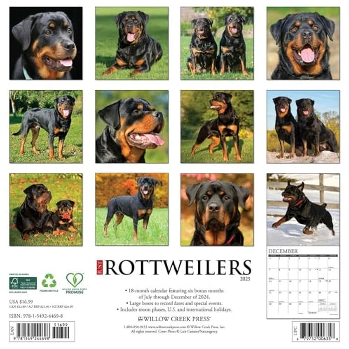 Just Rottweilers 2025 12" x 12" Wall Calendar by WILLOW CREEK - Image 2
