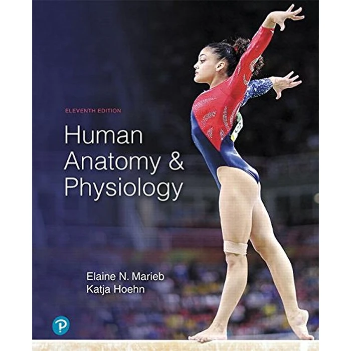 Human Anatomy & Physiology by PEARSON EDUCATION - Image 1