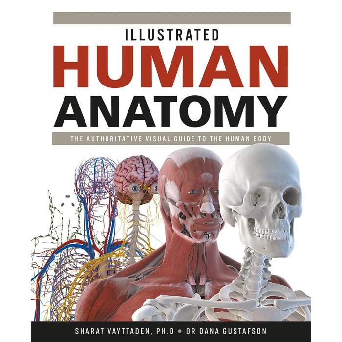 Illustrated Human Anatomy: The Authoritative Visual Guide to the Human Body by Firefly Books - Used - Very Good condition - CA$32.30