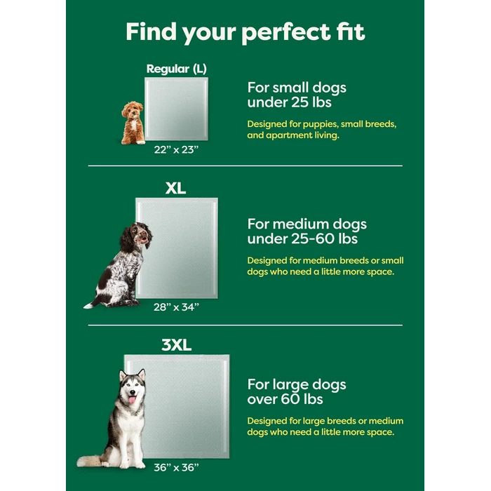 Earth Rated Puppy Pads, Max Absorbency Pee Pads for Dogs, Absorbs 2X Faster & 2X More, Leak Prevention, Potty Training, Fragrance-Free, Unscented, Regular [L], 22” x 23”, 40 Count by Earth Rated - Image 6