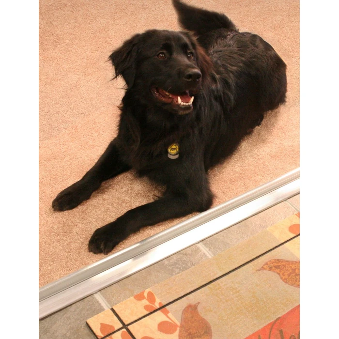 M-D Building Products 08003 3-3/4 in. x 1-1/8 in. x 32 in. Silver Aluminum and Vinyl Heavy-Duty High-Profile Threshold by M-D Building Products - Image 2