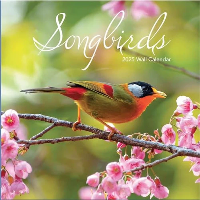 TURNER PHOTOGRAPHIC Songbirds 12x12 Photo Wall Calendar (25998940052) by Turner Licensing - Used - Acceptable condition - CA$5.45