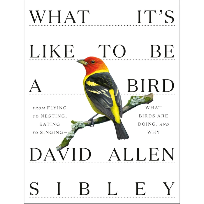 What It's Like to Be a Bird: From Flying to Nesting, Eating to Singing--What Birds Are Doing, and Why (Sibley Guides) by Knopf - Used - Acceptable condition - US$5.93