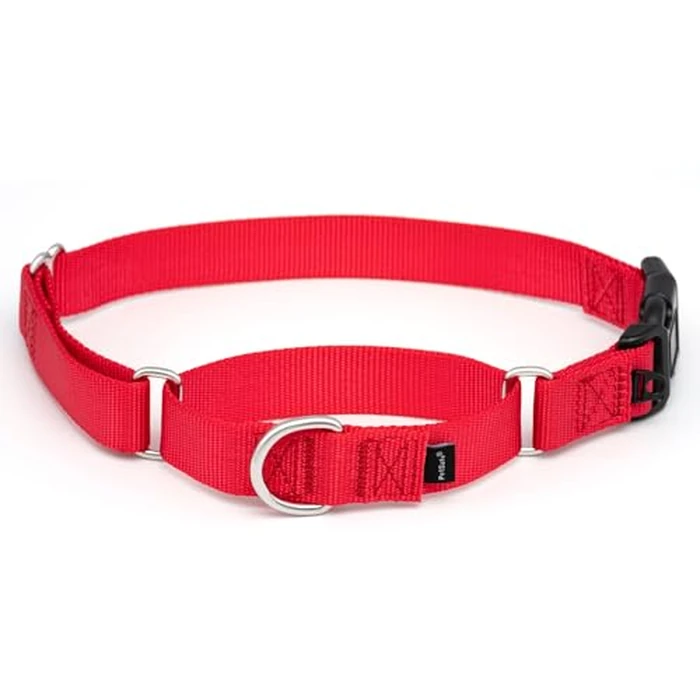 PetSafe Martingale Collar with Quick Snap Buckle, 1" Large, Red by PetSafe - Used - Good condition - CA$6.27