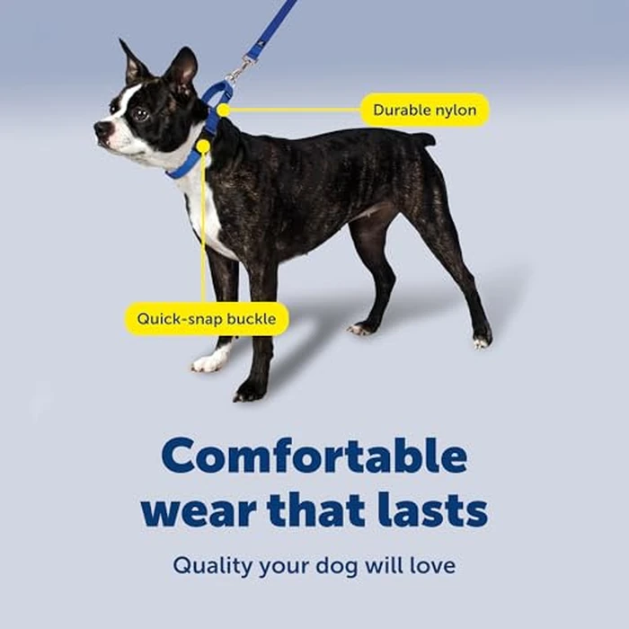 PetSafe Martingale Collar with Quick Snap Buckle, 1" Large, Red by PetSafe - Image 4