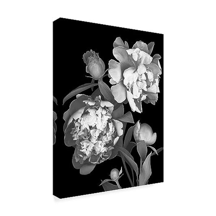 Susan S. Barmon 'Peony Black And White' Canvas Art by Trademark Fine Art - Image 2