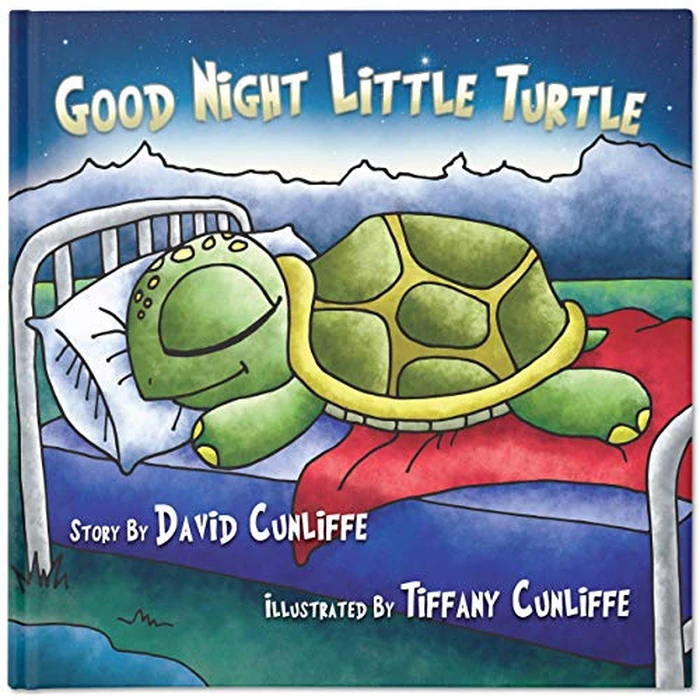 Good Night Little Turtle by Bedtime Press - Used - Good condition