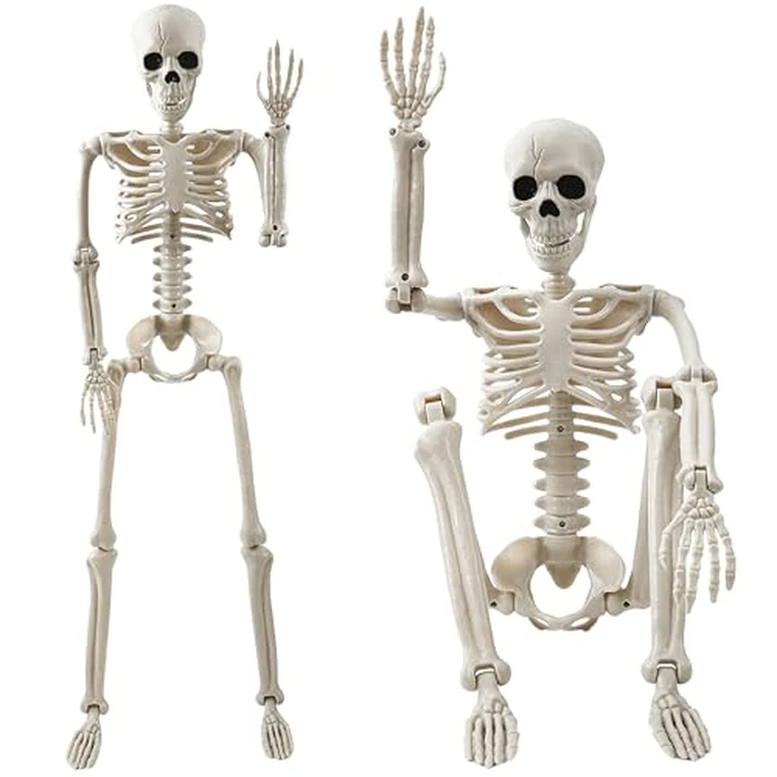 Halloween Decorations Outdoor, 2 Pack 36" Life Size Posable Human Skeleton Decor - Indoor Halloween Decor for Graveyard, Haunted House, Yard, Patio, Lawn, Garden & Spooky Party Props by tkgpe - Used - Like New condition - US$20.79