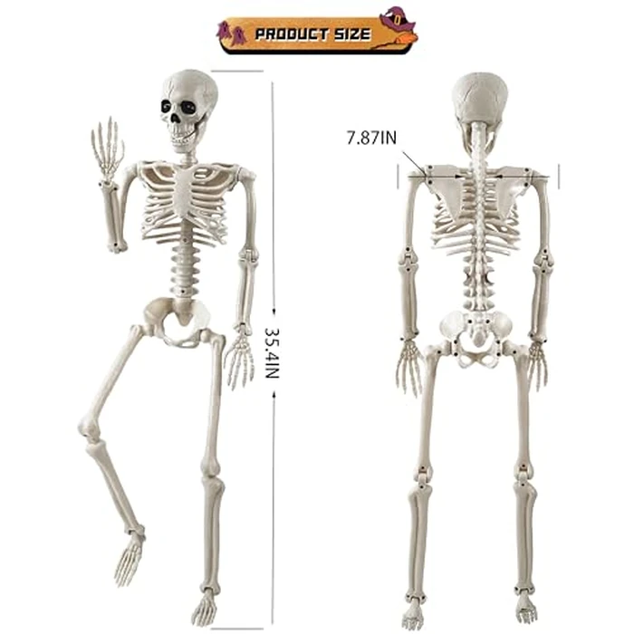 Halloween Decorations Outdoor, 2 Pack 36" Life Size Posable Human Skeleton Decor - Indoor Halloween Decor for Graveyard, Haunted House, Yard, Patio, Lawn, Garden & Spooky Party Props by tkgpe - Image 3