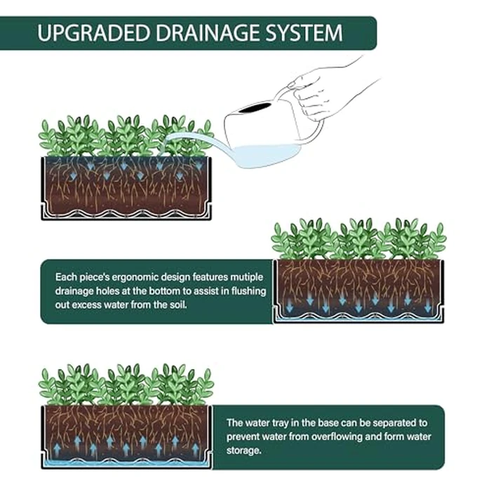 D'vine Dev 12 Inch Window Box Planter, Rectangle Plastic Herb Planter with Drainage Holes and Saucer, Indoor Succulent Cactus Vegetable Pot for Windowsill, Garden Balcony, Black, Set of 2, 76-X-B-2 by D'vine Dev - Image 6
