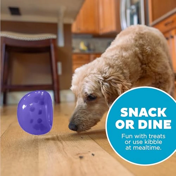 Outward Hound by Planet Dog Lil' Snoop Dog Toy - Treat‑Dispenser Puzzle Ball, Interactive Slow Feeder, Small to Medium Dogs, Bouncy & Mint-Infused, Purple, 3.9" by Outward Hound - Image 6