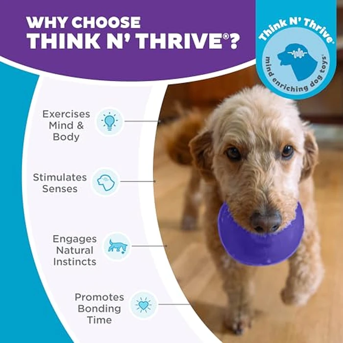 Outward Hound by Planet Dog Lil' Snoop Dog Toy - Treat‑Dispenser Puzzle Ball, Interactive Slow Feeder, Small to Medium Dogs, Bouncy & Mint-Infused, Purple, 3.9" by Outward Hound - Image 7