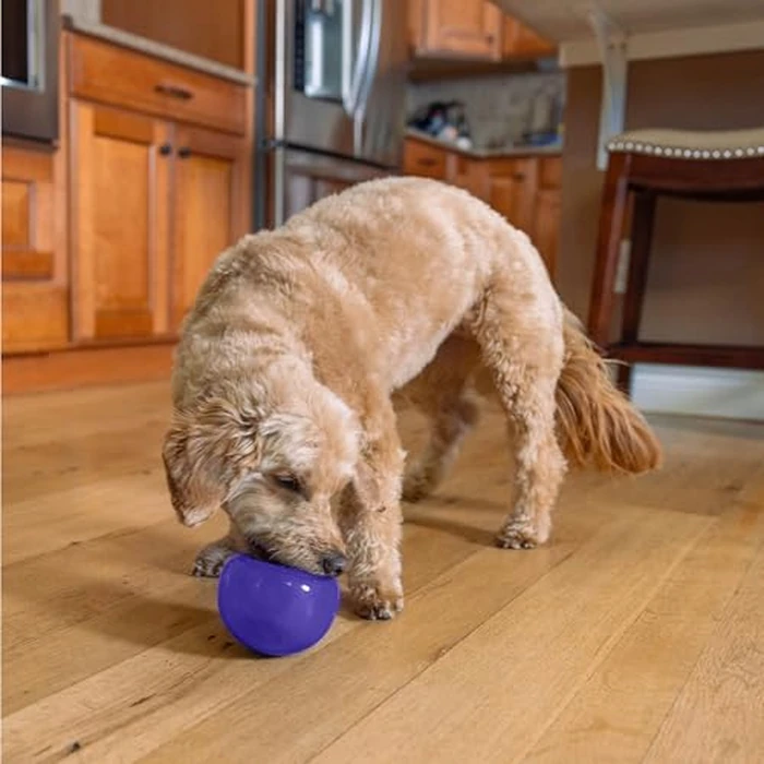 Outward Hound by Planet Dog Lil' Snoop Dog Toy - Treat‑Dispenser Puzzle Ball, Interactive Slow Feeder, Small to Medium Dogs, Bouncy & Mint-Infused, Purple, 3.9" by Outward Hound - Image 8