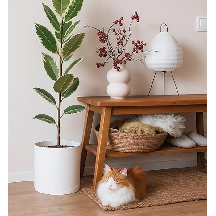 D'vine Dev 10 Inch Plastic Planter Pots for Plant Pot with Drainage Hole and Seamless Saucers, White Color, 74-X-A-2 by D'vine Dev - Image 6