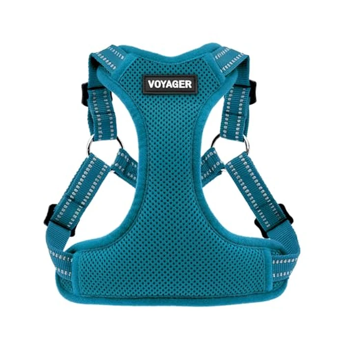 Best Pet Supplies Voyager, Fully Adjustable Step-in Mesh Harness with Reflective 3M Piping (Turquoise, Medium) by Best Pet Supplies - Used - Like New condition - CA$12.23