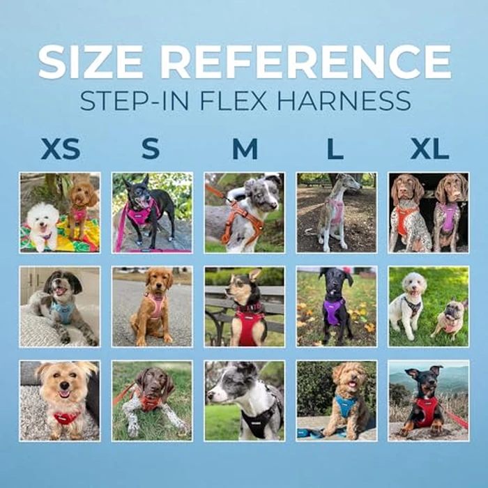 Best Pet Supplies Voyager, Fully Adjustable Step-in Mesh Harness with Reflective 3M Piping (Turquoise, Medium) by Best Pet Supplies - Image 6