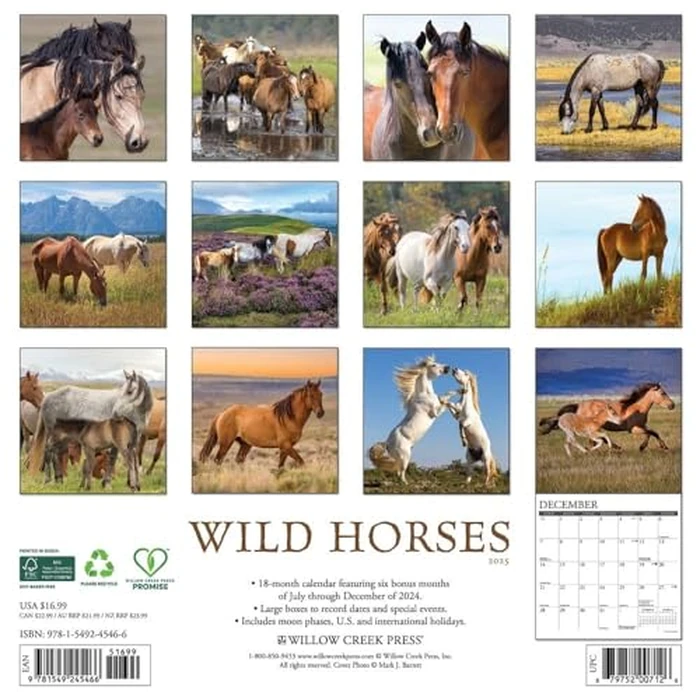 Wild Horses 2025 12" x 12" Wall Calendar by WILLOW CREEK - Image 2