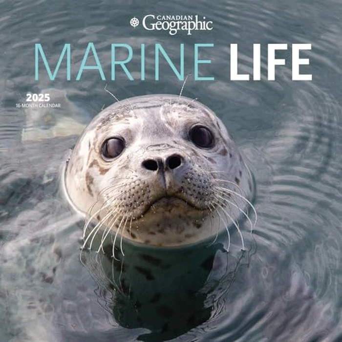 Canadian Geographic Marine Life OFFICIAL | 2025 12 x 24 Inch Monthly Square Wall Calendar | Wyman Publishing | Wildlife Animals Nature by BrownTrout Publishers Ltd. - Image 2
