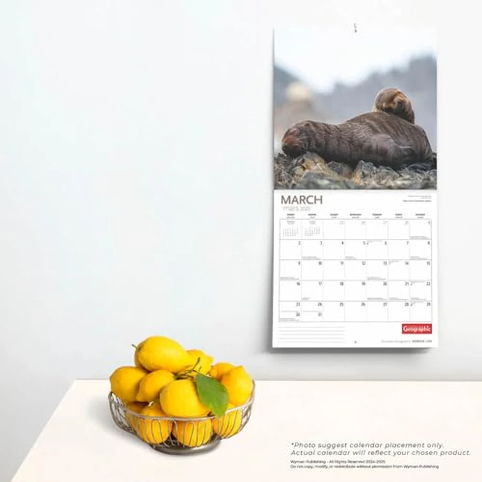 Canadian Geographic Marine Life OFFICIAL | 2025 12 x 24 Inch Monthly Square Wall Calendar | Wyman Publishing | Wildlife Animals Nature by BrownTrout Publishers Ltd. - Image 3