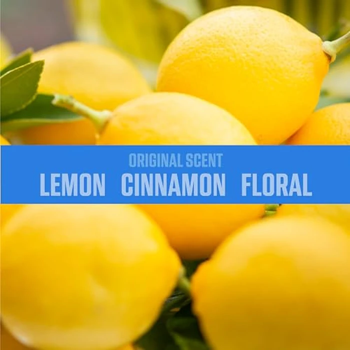 OZIUM(R) Air Freshener Odor Eliminator, 2oz Single Shot Total Air Refresh & Car Air Freshener - Original - 4 Pack by Ozium - Image 5