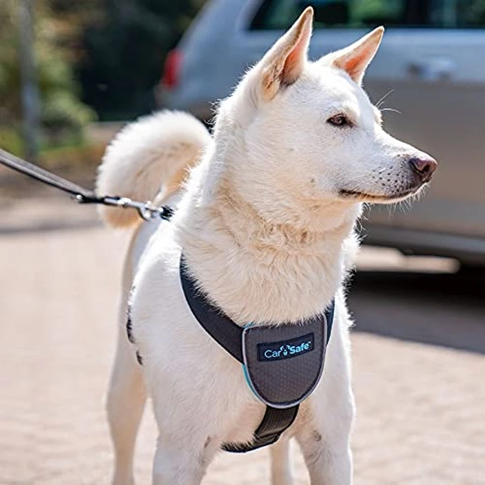 CarSafe Dog Travel Car Harness - from The Makers of Halti. Safely Secure Your Dog in The Car, Meets All Road Laws When Travelling with Your Pet, for Toy, Small, Medium and Large Dogs (Size Medium) by Carsafe - Image 3