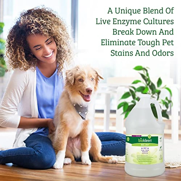 Biokleen Bac-Out Pet Stain Remover - Enzymatic, Natural, Plant-Based Destroys Stains & Odors, Safe for Surfaces & Fabrics, Carpet Cleaner - Eco-Friendly, Lavender Lime Scent, 1 Gallon by Biokleen - Image 3