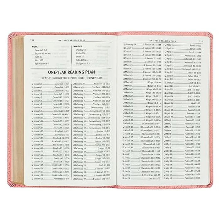 KJV Holy Bible, Gift Edition King James Version, Faux Leather Flexible Cover, Blossom Pink Floral (KJV Gift Editions) by Christian Art Gifts - Image 5