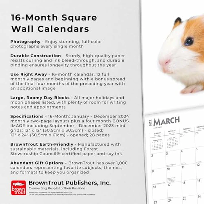 Guinea Pigs | 2025 12 x 24 Inch Monthly Square Wall Calendar | BrownTrout | Domestic Animals Small Pets by BrownTrout - Image 3