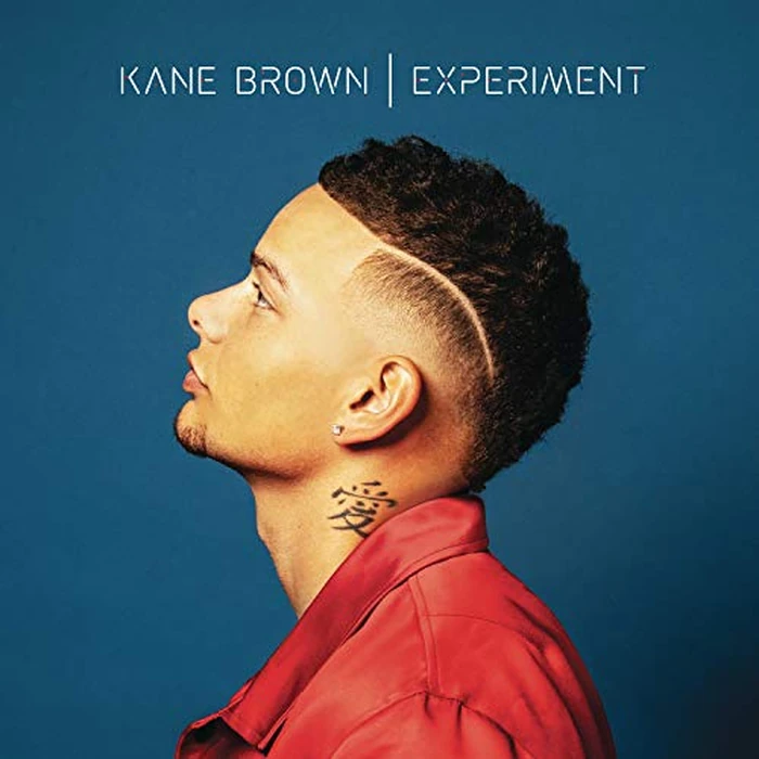 Experiment by Sony Music Nashville - Used - Good condition