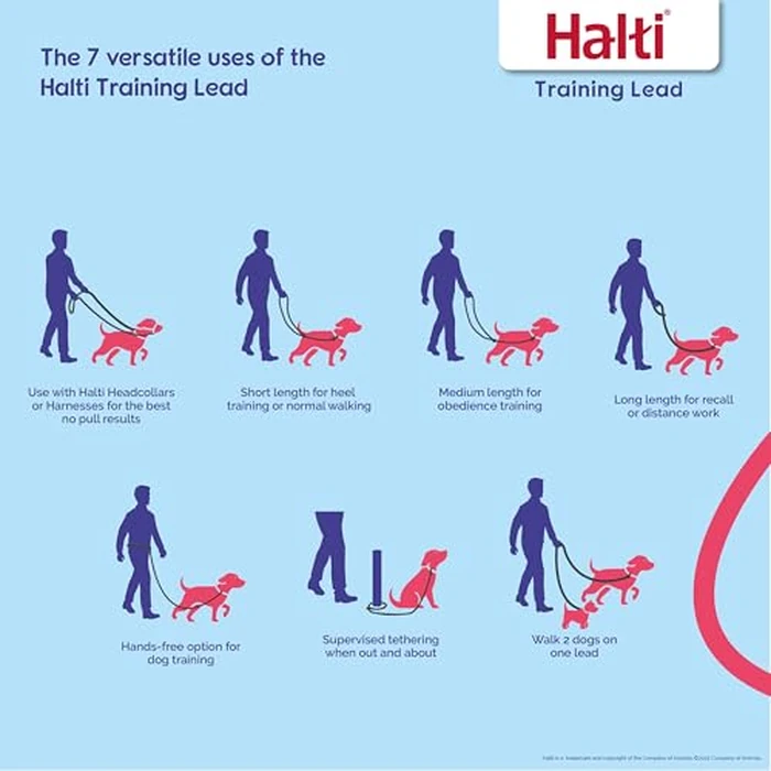 Halti Headcollar Size 5, Black & Halti Training Leash Size Large, Black Combination Pack - Stop Your Dog Pulling on The Leash. Adjustable, Lightweight with Padded Nose Band. Suitable for Large Dogs by Halti - Image 4