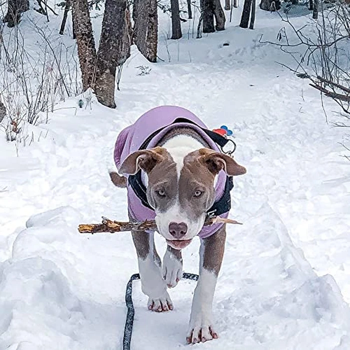 Gooby Stretch Fleece Vest - Lavendar, 4X-Large by GOOBY - Image 6
