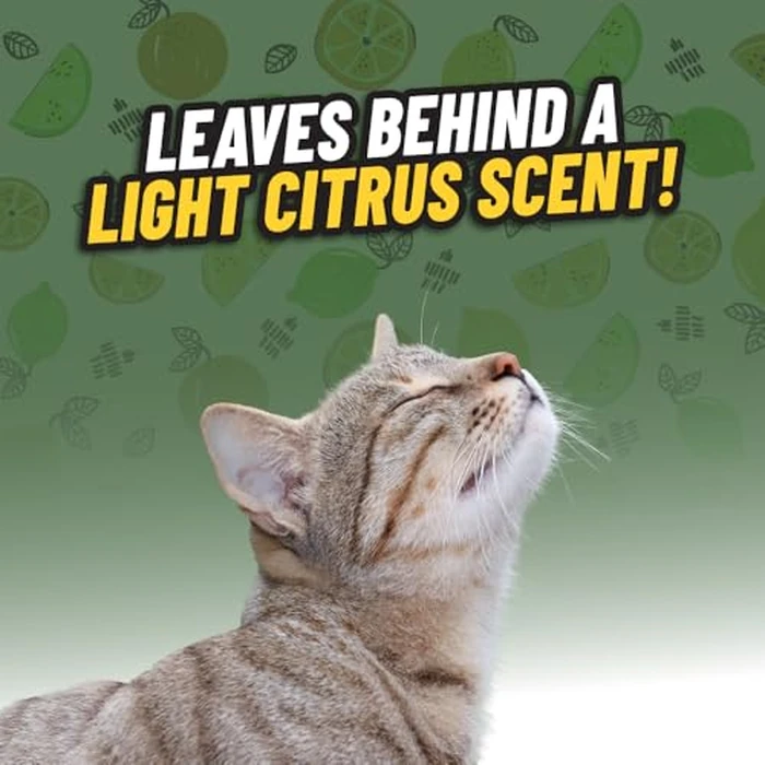 Chemical Guys Ghosted Pet Odor Eliminator 16 Oz Pet Smell Neutralizer for Car Interior, Carpet, Upholstery, Fabric Seats, Home, Furniture, Citrus Scent Spray Cleaner by Chemical Guys - Image 4