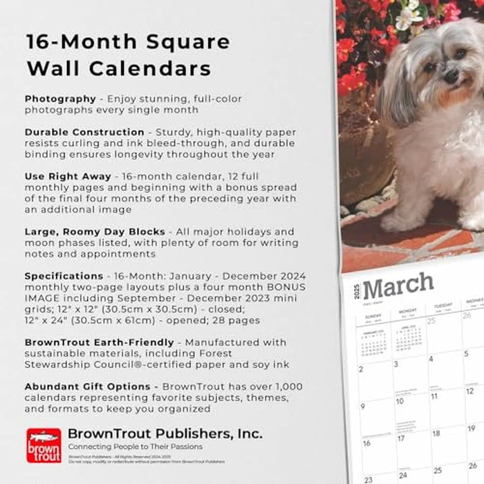 Havanese | 2025 12 x 24 Inch Monthly Square Wall Calendar | BrownTrout | Animals Dog Breeds by BrownTrout - Image 4