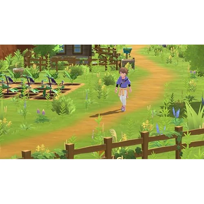 Harvest Moon: Home Sweet Home Special Edition - Playstation 5 by Natsume - Used - Very Good condition - US$17.23