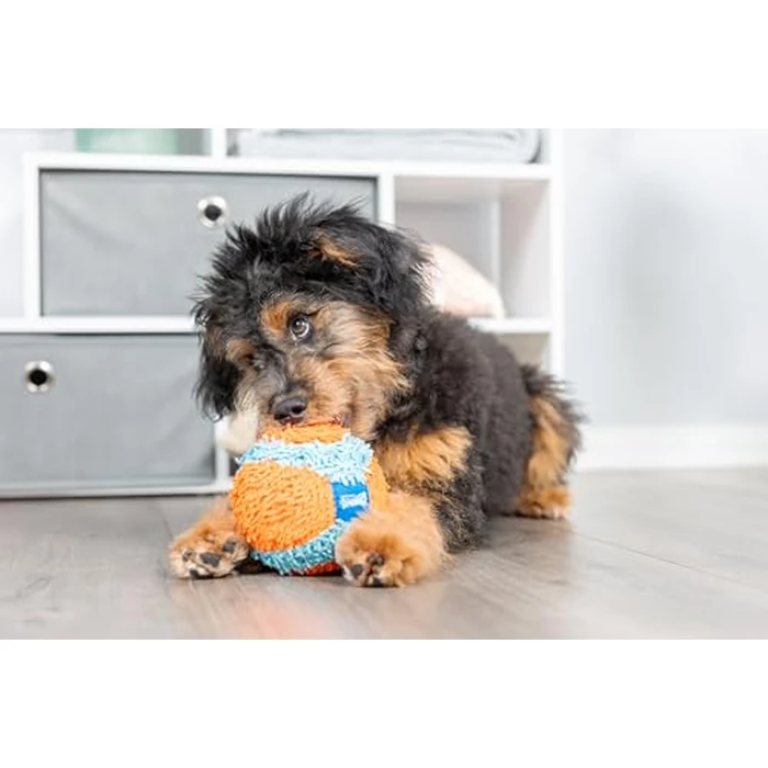 Chuckit! Indoor Fetch Ball Dog Toy for Dogs - Interactive Dog Toys for Boredom, 4.75 Inch, Orange and Blue by Chuckit! - Image 2