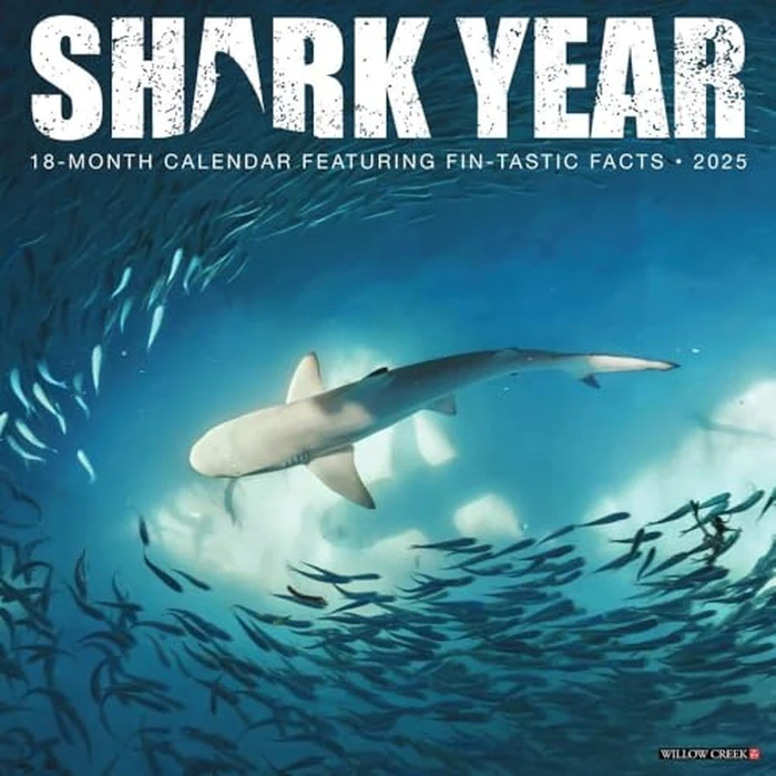 Shark Year 2025 12" x 12" Wall Calendar by WILLOW CREEK - Used - Like New condition