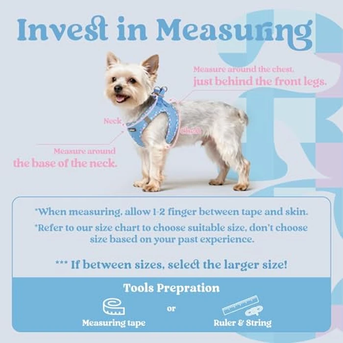 rabbitgoo Small Dog Harness, Step-in Soft Mesh Puppy Vest with Safety Buckle, Breathable Reflective Pet Harness for Extra Small Dogs, Blue & Plaid Trim XXS by rabbitgoo - Image 2