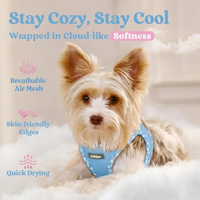 rabbitgoo Small Dog Harness, Step-in Soft Mesh Puppy Vest with Safety Buckle, Breathable Reflective Pet Harness for Extra Small Dogs, Blue & Plaid Trim XXS by rabbitgoo - Image 3