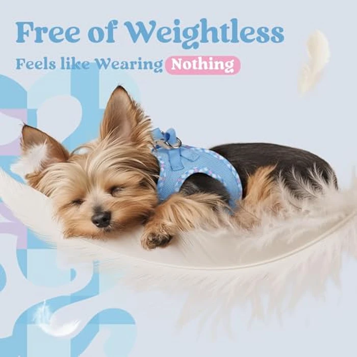 rabbitgoo Small Dog Harness, Step-in Soft Mesh Puppy Vest with Safety Buckle, Breathable Reflective Pet Harness for Extra Small Dogs, Blue & Plaid Trim XXS by rabbitgoo - Image 4