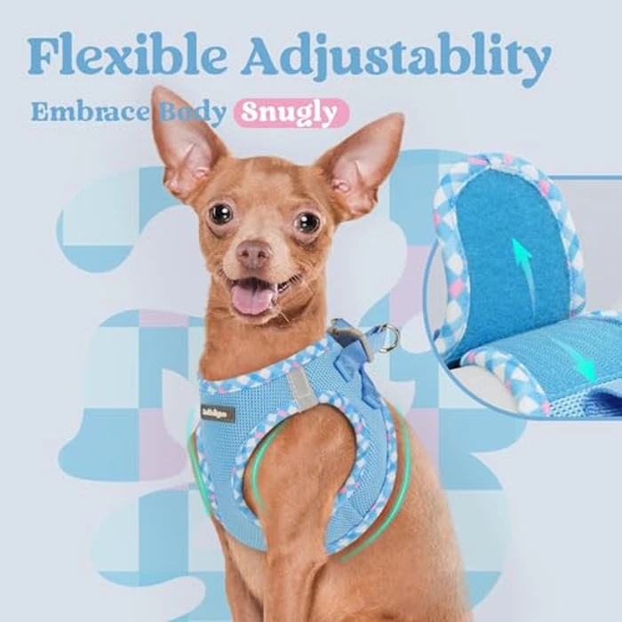 rabbitgoo Small Dog Harness, Step-in Soft Mesh Puppy Vest with Safety Buckle, Breathable Reflective Pet Harness for Extra Small Dogs, Blue & Plaid Trim XXS by rabbitgoo - Image 6