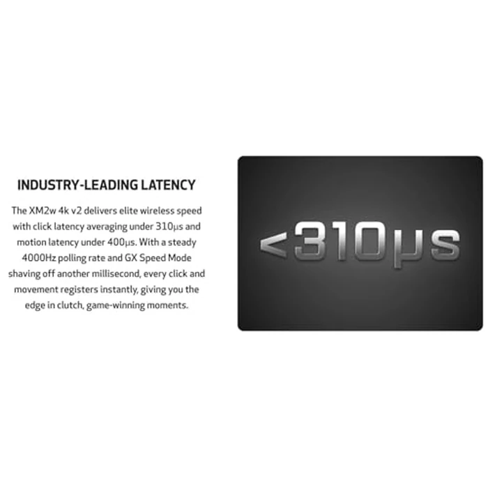 End Game Gear XM2w 4k v2 Wireless Gaming Mouse - Lightweight 61.5g, Right-Handed, 2.4 GHz/USB-C, PixArt PAW3950 U Optical Sensor, 30K DPI, 4K Dongle Included, Black by End Game Gear - Image 8