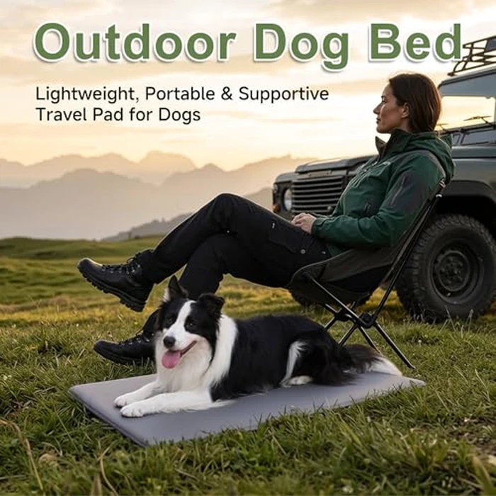 WAYIMPRESS Dog Crate Pad, Double-Sided Waterproof Crate Mat Bed, Outdoor Kennel Mat Pet Sleeping for Medium Large Dogs, Waterproof, Wipeable, Anti-Slip, Kennel Pads 35 x 22 Inch, Dark Gray by WAYIMPRESS - Image 8