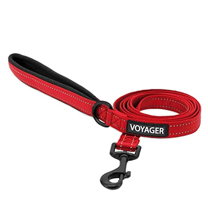Best Pet Supplies Voyager Reflective Dog Leash or Collar with Neoprene Handle, for Small, Medium, and Large Breed Puppies, Cute and Heavy Duty for Walking, Running and Training - Red (Leash), L by Best Pet Supplies - Used - Very Good condition